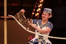 В Тюменском цирке провели открытую репетицию для подопечных фонда "Защитники Отечества" В Тюменском цирке провели открытую репетицию для подопечных фонда "Защитники Отечества"