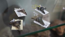 Линейку сувениров &ldquo;Капля древнего моря Тюмени&rdquo; презентовали в галерее &ldquo;Легенды Сибири&ldquo;