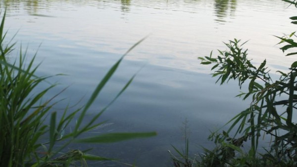 В Тюменской области борются с паводком и его последствиями