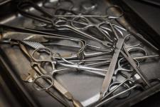 Тюменцам показали и рассказали, как в годы войны спасали раненых бойцов Тюменцам показали и рассказали, как в годы войны спасали раненых бойцов