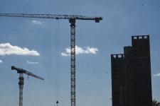 Белый амур, толстолобик и карп появились в тюменском озере Тихом