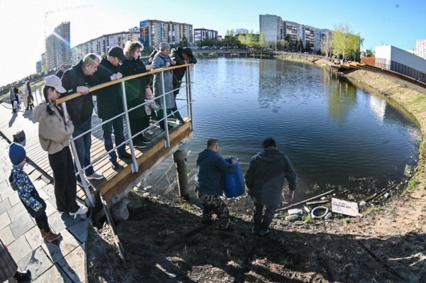 Белый амур, толстолобик и карп появились в тюменском озере Тихом