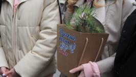 Саженец крымской сосны высадили в "Аптекарском огороде" в Тюмени Саженец крымской сосны высадили в "Аптекарском огороде" в Тюмени