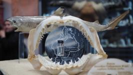 Линейку сувениров &ldquo;Капля древнего моря Тюмени&rdquo; презентовали в галерее &ldquo;Легенды Сибири&ldquo;