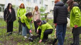 Саженец крымской сосны высадили в "Аптекарском огороде" в Тюмени Саженец крымской сосны высадили в "Аптекарском огороде" в Тюмени