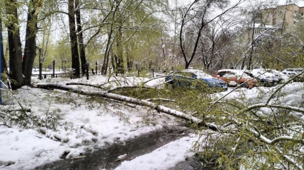 Тюменцы не спешат возмещать убытки от снегопада через страховщиков