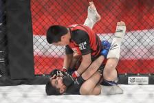 Более 30 видов спорта представили на фестивале "Тюмень сильная"