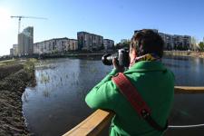 Белый амур, толстолобик и карп появились в тюменском озере Тихом