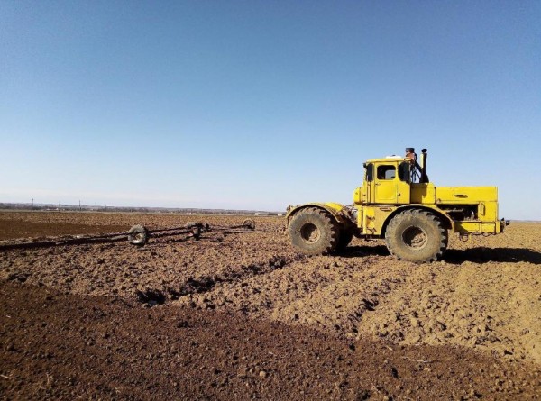 В Сладковском районе первое предприятие завершило боронование