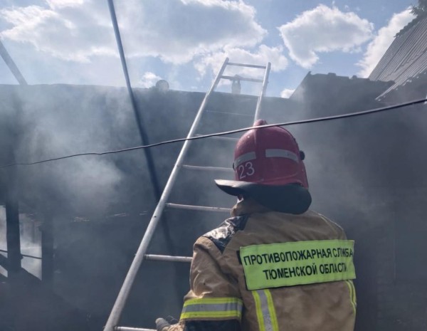 В поселке Винзили сгорели хозяйственные постройки В поселке Винзили сгорели хозяйственные постройки