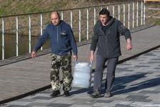 Белый амур, толстолобик и карп появились в тюменском озере Тихом