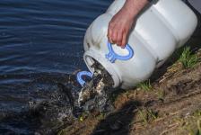 Белый амур, толстолобик и карп появились в тюменском озере Тихом