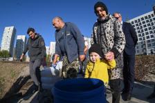 Белый амур, толстолобик и карп появились в тюменском озере Тихом