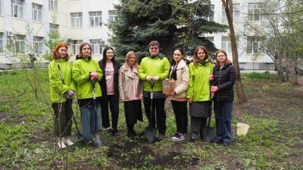 Саженец крымской сосны высадили в "Аптекарском огороде" в Тюмени Саженец крымской сосны высадили в "Аптекарском огороде" в Тюмени