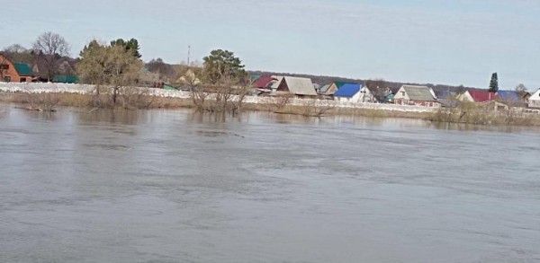 На 84 см поднялся уровень воды в реке Ишим в Викуловском районе Тюменской области