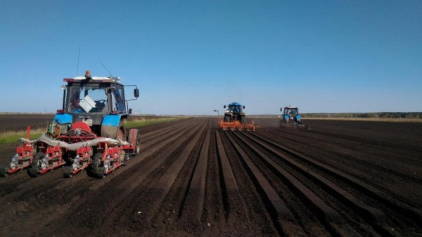 Яровой сев проведен в Тюменской области более чем на 170 тыс. га