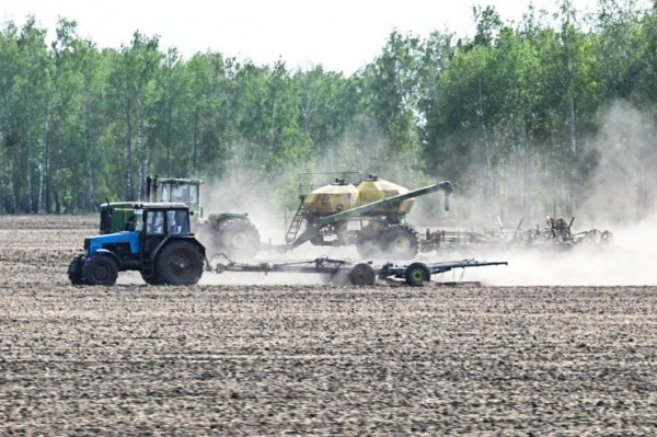 Паводок не помешал аграриям Ишимского района закончить посевную кампанию