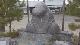 Тюменские "моржи" планируют проплыть по Ладожскому озеру в рамках проекта "Дорога жизни"