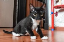 Тюменский фонд "Защитники Отечества" за год помог тысячам ветеранов СВО и их родственникам