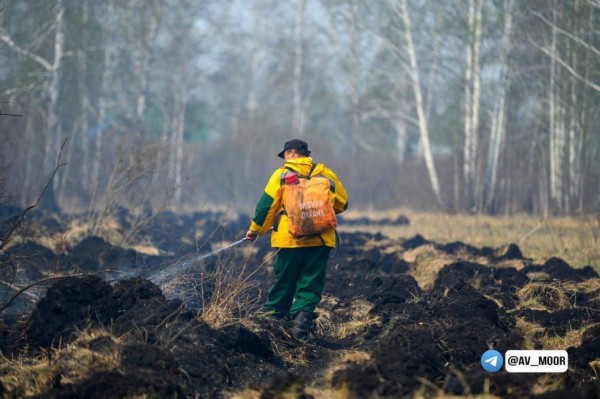 Особый противопожарный режим в Тюменской области продлят до 26 июня