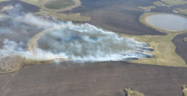 Ландшафтный пожар ликвидируют в районе СНТ "Факел" под Тюменью
