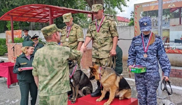 Кинологи тюменской Росгвардии стали лучшими на окружном чемпионате