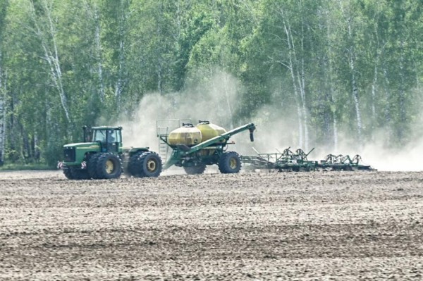 Агропредприятия Тюменской области посеяли 10 тысяч тонн элитных семян