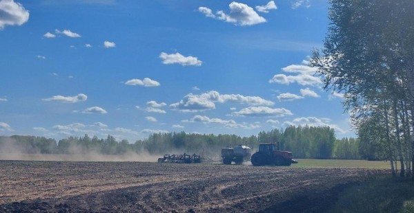 В Аромашевском районе сельхозкультурами засеяли 19 тысяч 502 гектаров полей