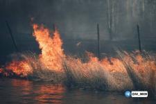 Особый противопожарный режим в Тюменской области продлят до 26 июня