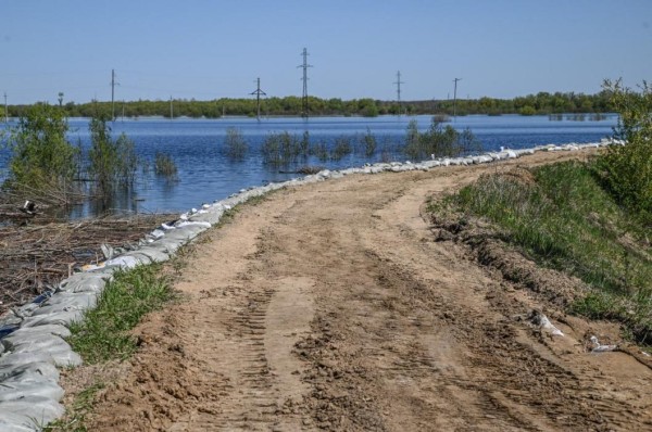 14 пострадавших от паводка предпринимателей в Тюменской области получили льготные займы 