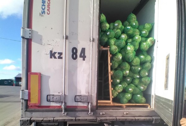 400 тонн сельхозпродукции с просроченными документами не пропустили на границе Тюменской области с Казахстаном