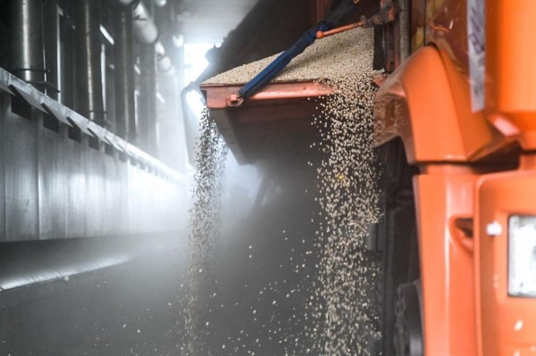 90 тыс. тонн зерна экспортировано из Тюменской области с начала 2024 года