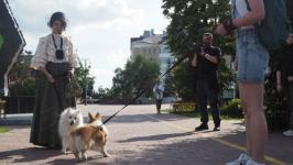 Йоркширских терьеров, корги и бассет-хаундов привели на экскурсию по истории Тюмени