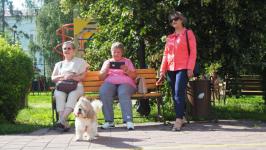 Йоркширских терьеров, корги и бассет-хаундов привели на экскурсию по истории Тюмени