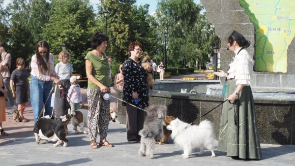 Йоркширских терьеров, корги и бассет-хаундов привели на экскурсию по истории Тюмени