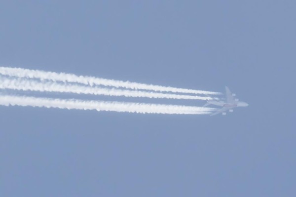 Самолет рейса Тюмень – Ереван вернулся в Рощино из-за отказа автопилота 