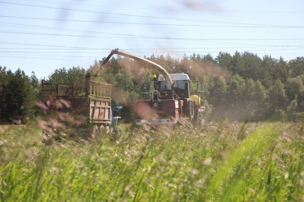 Предприятия Тюменского района начали уборку кормовых культур