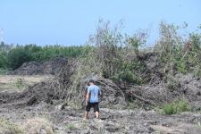 Тюменская компания инвестирует более 100 млн рублей в производство электрощитов и стеновых панелей