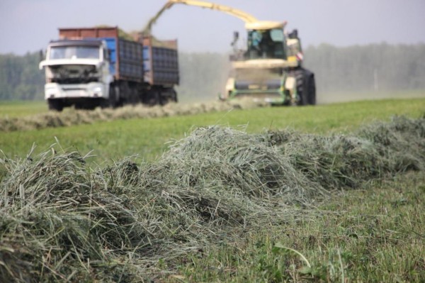 Заготовка кормов в Тюменской области идет с опережением