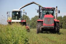 Предприятия Тюменского района начали уборку кормовых культур