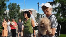 Йоркширских терьеров, корги и бассет-хаундов привели на экскурсию по истории Тюмени