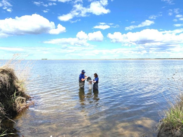 Промысловых беспозвоночных в 120 озерах Западной Сибири исследовали ученые