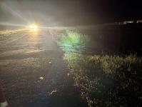 В Омутинском районе ночью машина сбила девушку, которая шла по обочине 