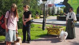 Йоркширских терьеров, корги и бассет-хаундов привели на экскурсию по истории Тюмени