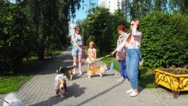 Йоркширских терьеров, корги и бассет-хаундов привели на экскурсию по истории Тюмени