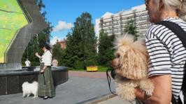 Йоркширских терьеров, корги и бассет-хаундов привели на экскурсию по истории Тюмени