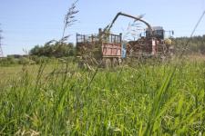 Предприятия Тюменского района начали уборку кормовых культур