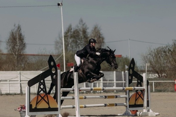 Соревнования по конному спорту стартуют в Тюмени