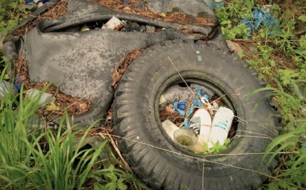В Ярковском районе на арендованных лесных участках испортили плодородный слой почвы В Ярковском районе на арендованных лесных участках испортили плодородный слой почвы