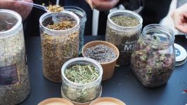 Горожанам предложили распознать Тюмень с помощью органов чувств